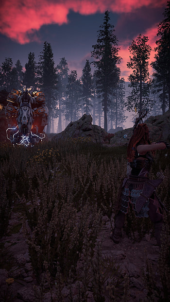 Aloy (Horizon Series), video game, Horizon Zero Dawn HD phone wallpaper
