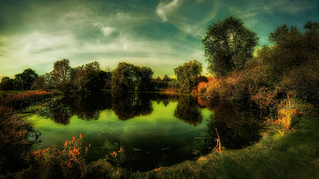 Autumn pond, Lake, Reflection, Forest, Shore HD wallpaper