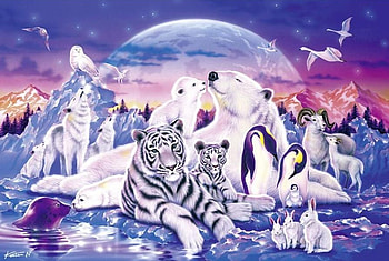 ARTIC WHITE, cold, artic, animals, snow HD wallpaper