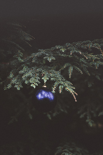Holidays, Dark, Branch, Spruce, Fir, Christmas Tree Toy HD phone wallpaper