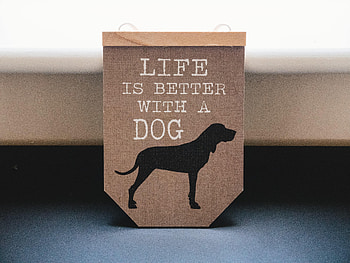 Words, Dog, Phrase, Inscription HD wallpaper