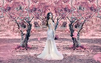Raining pink, white, model, girl, dress, alessandro di cicco, woman, tree HD wallpaper