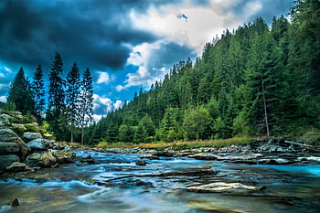 Tranquil creek in a lush forest under a sky filled with dark, dramatic clouds. HD wallpaper