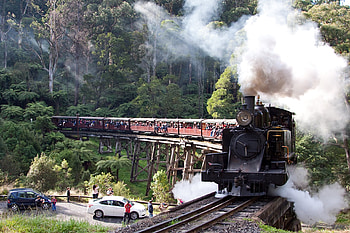 Puffing Billy Steam Locomotive 8A, train, wood, steam, narrow gauge, bridge, graph HD wallpaper
