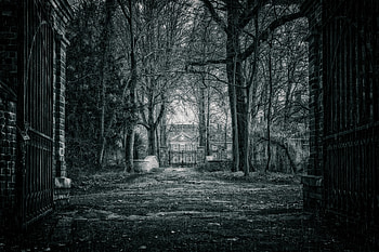 Rain, Miscellanea, Miscellaneous, Branches, House, Fence, Bw, Chb, Mysterious, Mystical, Mystic, Gate, Goal HD wallpaper