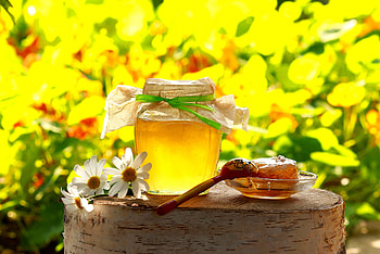 Summer in a jar, Yellow, Honey, Chamomile, Bokeh HD wallpaper