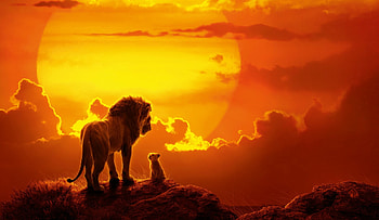 Ultra lion , Stunning backgrounds, Impressive visuals, Exotic wildlife HD wallpaper