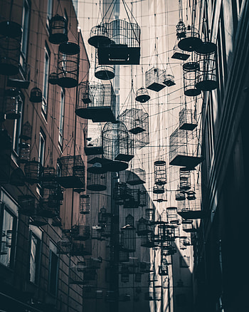 Architecture, Building, Miscellanea, Miscellaneous, Cells, Installation HD phone wallpaper