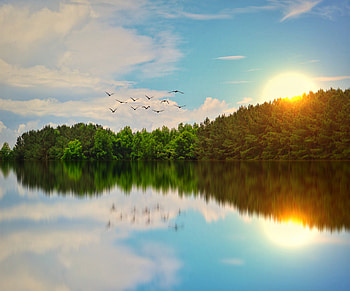 Beautiful Lake Birds Flying, lake, birds, nature, graphy HD wallpaper