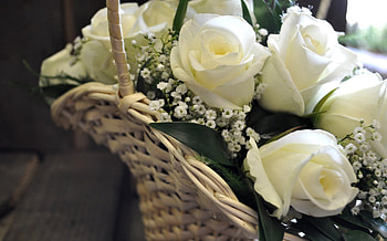 Beautiful basket of white roses, basket, wedding, white roses, flowers, bride, beauty HD wallpaper