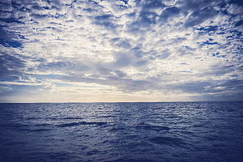 Sea Horizon , sea, horizon, nature HD wallpaper