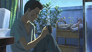 The Garden of Words Trailer English Fan Dub Trailer HD wallpaper