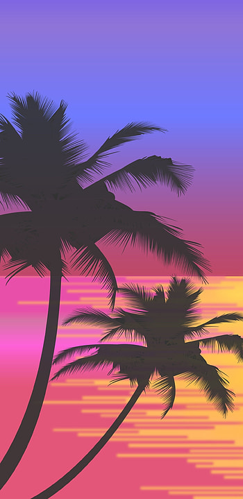 Palm trees sun vector, Artistic display HD phone wallpaper