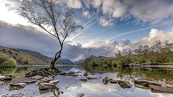 Dead Tree River United Kingdom Wales Stones On Water Under White Clouds Blue Sky Nature HD wallpaper