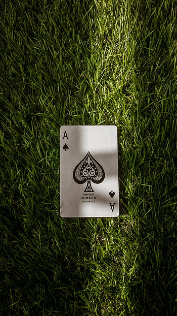 Ace King, Grass Background HD phone wallpaper