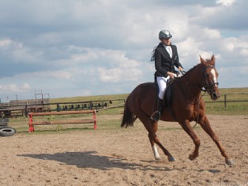 Howrse Rider, howrse, stable, rider, person HD wallpaper