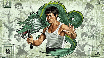 The Way of the Dragon, Enter the Dragon, , Martial arts visuals HD wallpaper