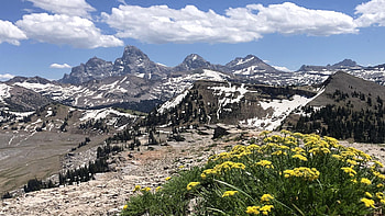 Grand Tetons, Wyoming, sky, peaks, wildflowers, landscape, clouds, usa HD wallpaper