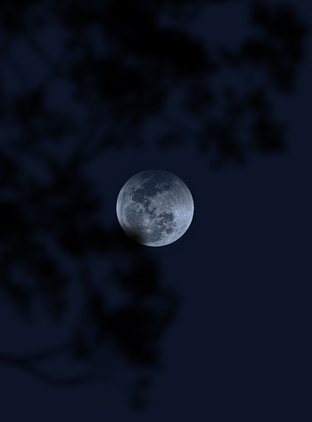 Night, Moon, Dark, Darkness, Full Moon HD phone wallpaper