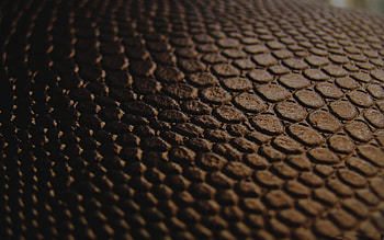 Best leather , , High-quality , Mac compatibility HD wallpaper
