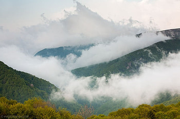 Mountain's fog, bulgaria, fog, graphy, mountain HD wallpaper