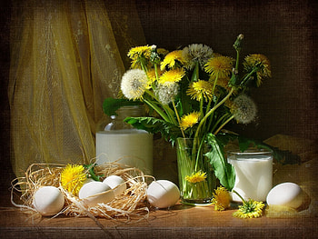 Plants, Dandelions HD wallpaper