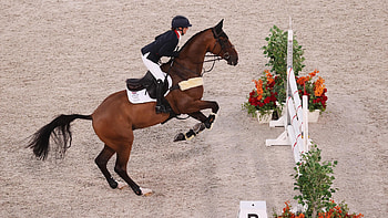 Oliver Townend, Eventing HD wallpaper