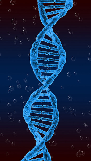 3D, Spiral, Involute, Swirling, Dna, Genetics HD phone wallpaper