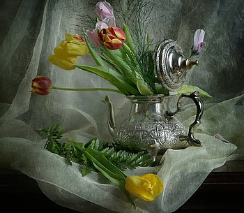 Still Life, pretty, colors, beautiful, flowers, colorful tulips, tulips HD wallpaper