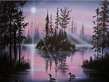 Evening loons, swimming, moonlight, trees, colored sky, loons, lake, evening HD wallpaper