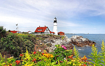 Landscape, Nature, Flowers, Sea, Rocks, Shore, Bank, Berry, Lighthouse, Herbs, Herbage HD wallpaper