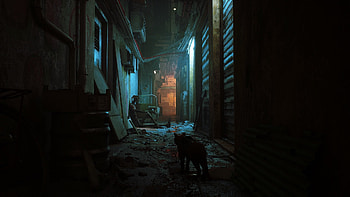 Stray game, , Atmospheric background, Captivating HD wallpaper