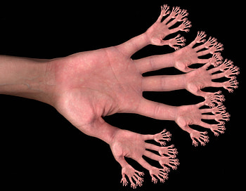 Hand, Miscellanea, Miscellaneous, Dark Background, Fingers, Lots Of, Multitude HD wallpaper