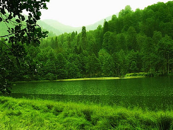 Borcka Karagol Artvin,turkey, borcka, artvin, turkey, karagol HD wallpaper