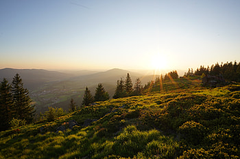 Nature, Trees, Grass, Sun, Rays, Beams, Slope HD wallpaper