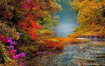 Autumn River, river, landscape, trees, autumn, nature, forest, foliage HD wallpaper