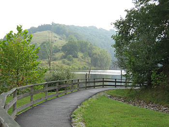 The Path, trees, mountains, walkway, fence HD wallpaper