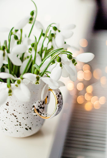 Flowers, Lily Of The Valley, Glare, Cup HD phone wallpaper