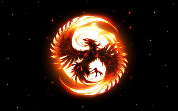 Fantasy, Feather, Shine, Light, Bird, Ball, Phoenix HD wallpaper