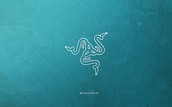 Razer logo, light blue background, white chalk logo, Razer emblem, retro light blue background, Razer, creative art, retro style HD wallpaper