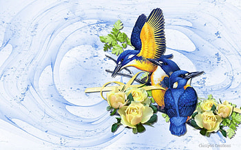 Blue Birds, blue, birds, pretty, yellow, cute, beautiful, flowers, spring HD wallpaper