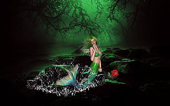 Gift, rose, mermaid, abstract, fantasy HD wallpaper