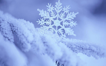 Snowflake, snow, winter, blue, white, iarna HD wallpaper