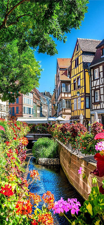Strasbourg, France, Latest , Vibrant colors HD phone wallpaper