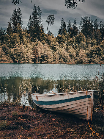 Rivers, Trees, Shore, Bank, Miscellanea, Miscellaneous, Boat HD phone wallpaper