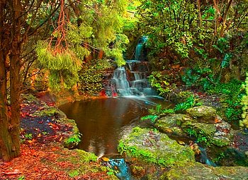 Small waterfall in the forest, colorful, fall, colors, waterfall, autumn, small, forest HD wallpaper