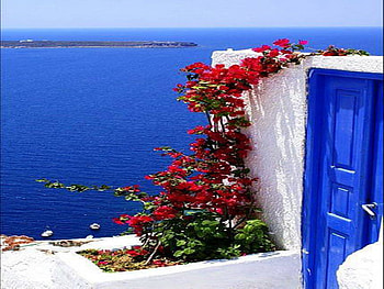 Santorini, view, island, red, flower HD wallpaper