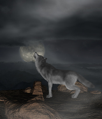 Moon, 3D, Wolf, Full Moon, Howl HD phone wallpaper