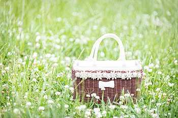 Flowers, Grass, Miscellanea, Miscellaneous, Field, Basket, Polyana, Glade HD wallpaper