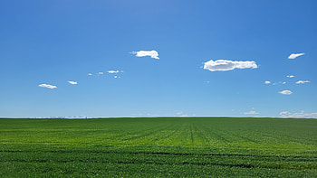 Rural Idaho , landscape, nature HD wallpaper